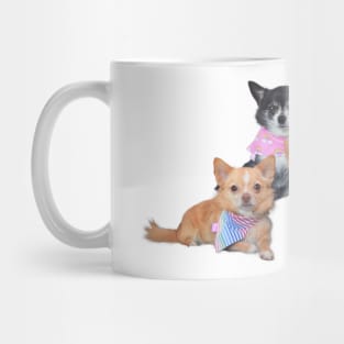 Trio Mug